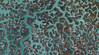 Illustration for article titled The History of Invisibility and the Future of Camouflage